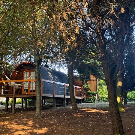 Glicinia Boutique Hotel Freamunde Kültér fotó