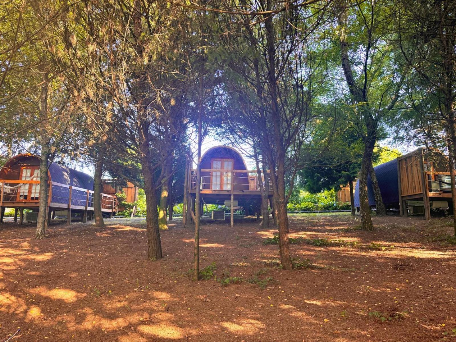 Glicinia Boutique Hotel Freamunde Kültér fotó