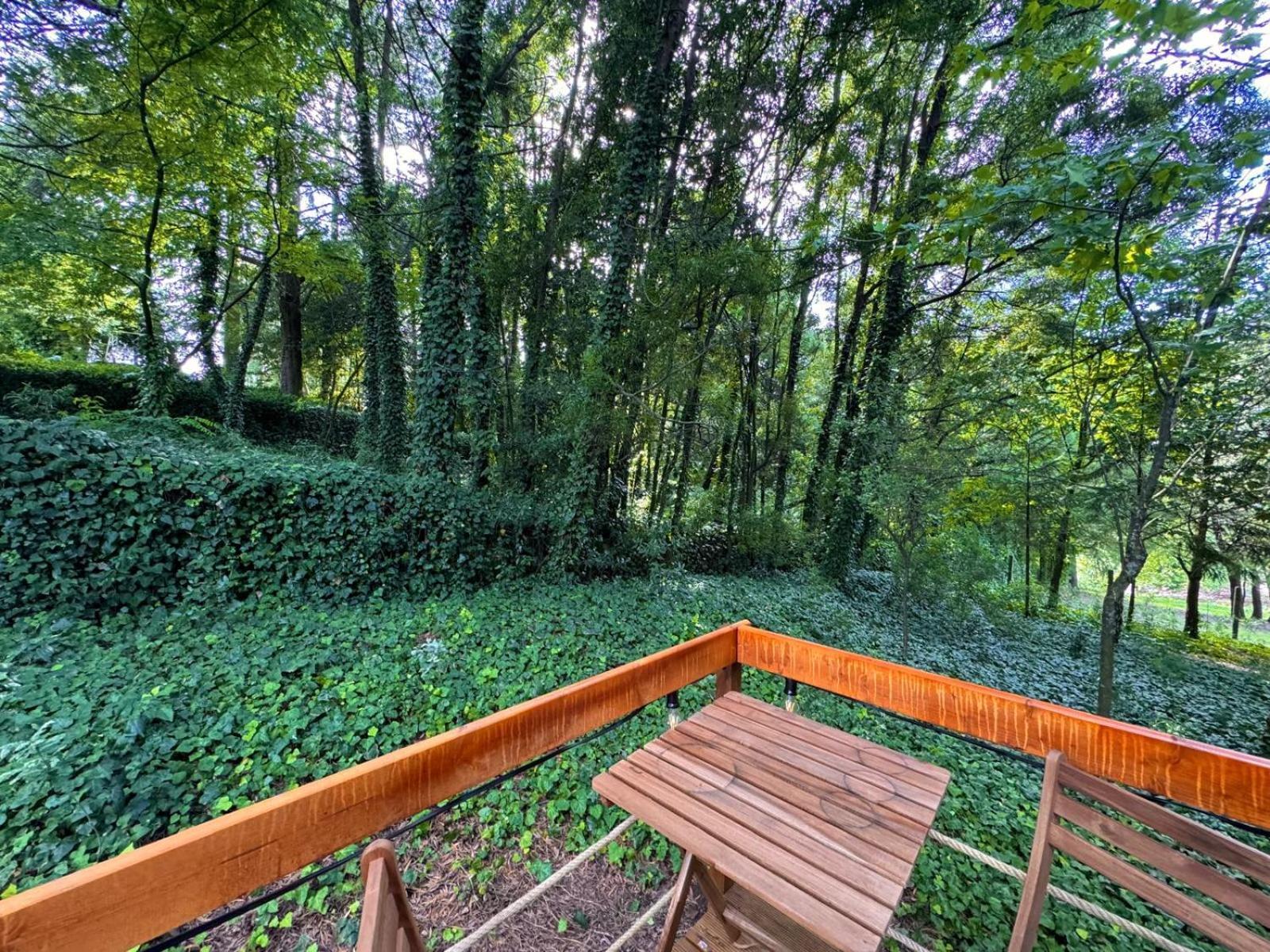 Glicinia Boutique Hotel Freamunde Kültér fotó