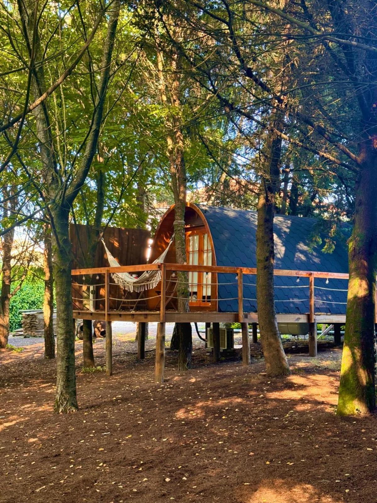 Glicinia Boutique Hotel Freamunde Kültér fotó