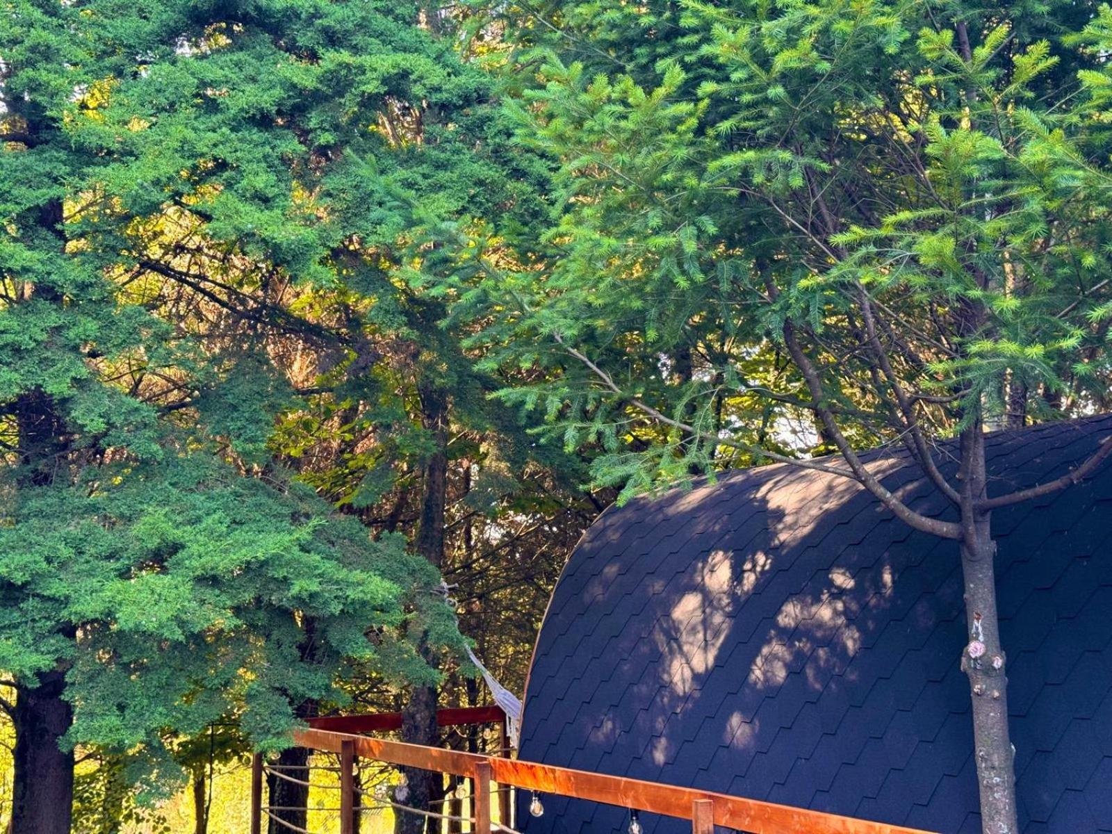 Glicinia Boutique Hotel Freamunde Kültér fotó